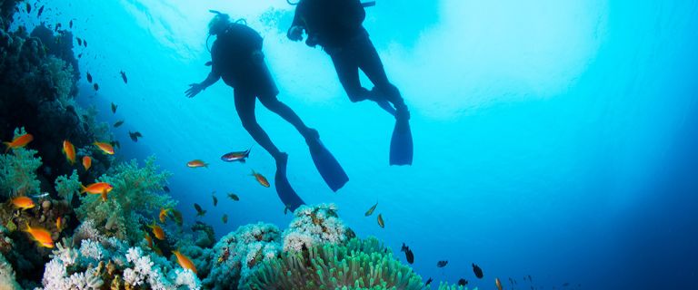 scuba_diving_tourism.jpg