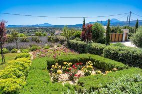 19garden copy-min.JPG